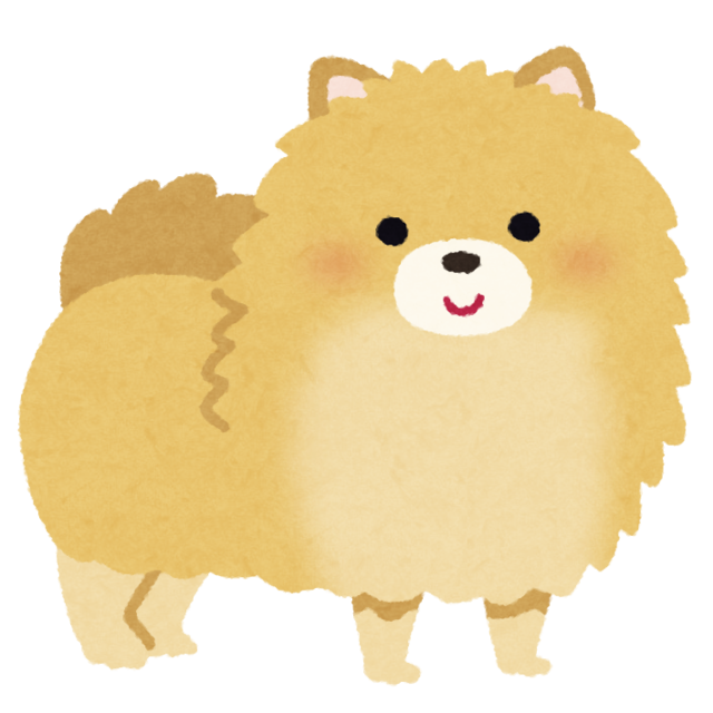 dog_pomeranian.png