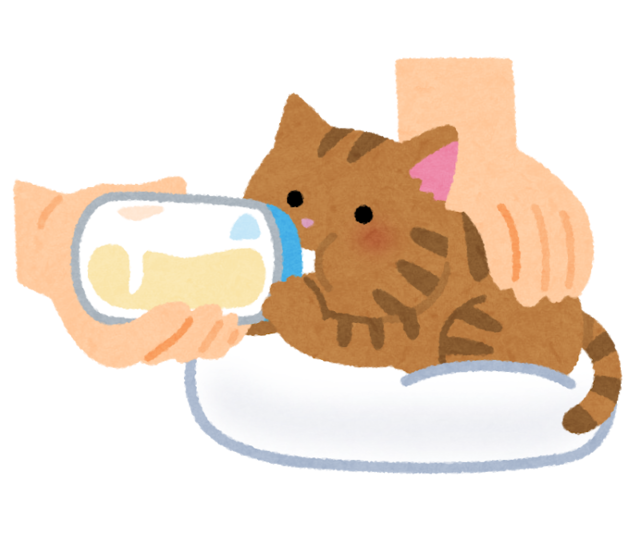 pet_honyubin_cat_utsubuse.png