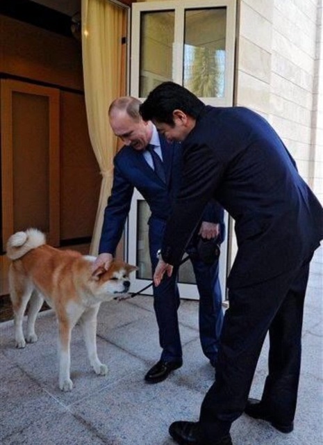 プーチン大統領 また犬を貰うｗｗｗｗｗｗｗｗ 億ったー