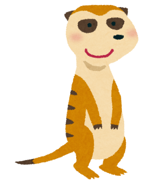 animal_meerkat.png