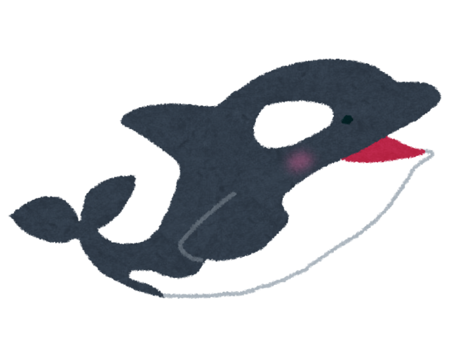 animal_syachi.png