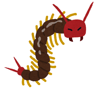 bug_mukade.png