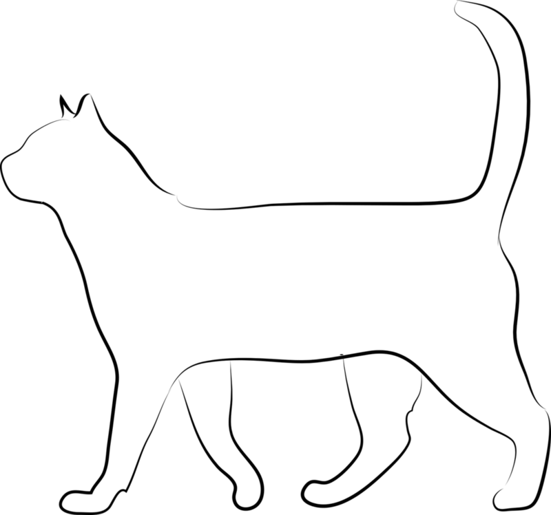 cat-1583459_1280.png