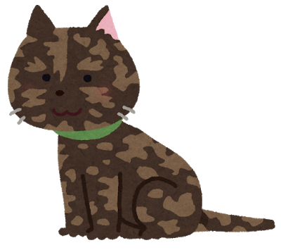 cat_sabineko.png