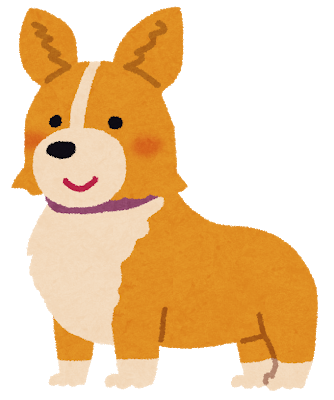 dog_corgi.png
