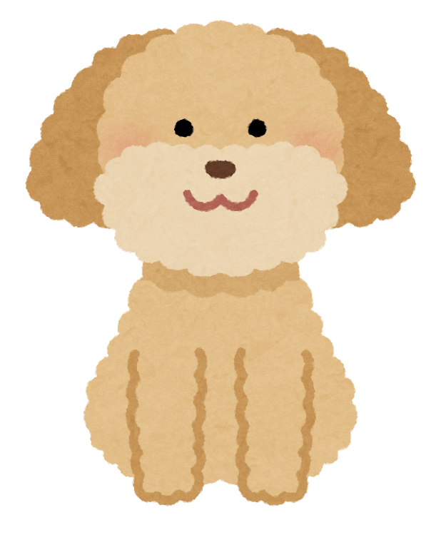 dog_toypoodle_cream.png