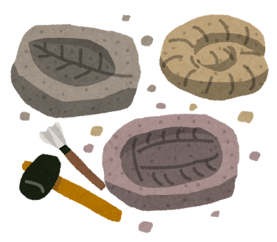kaseki2.png