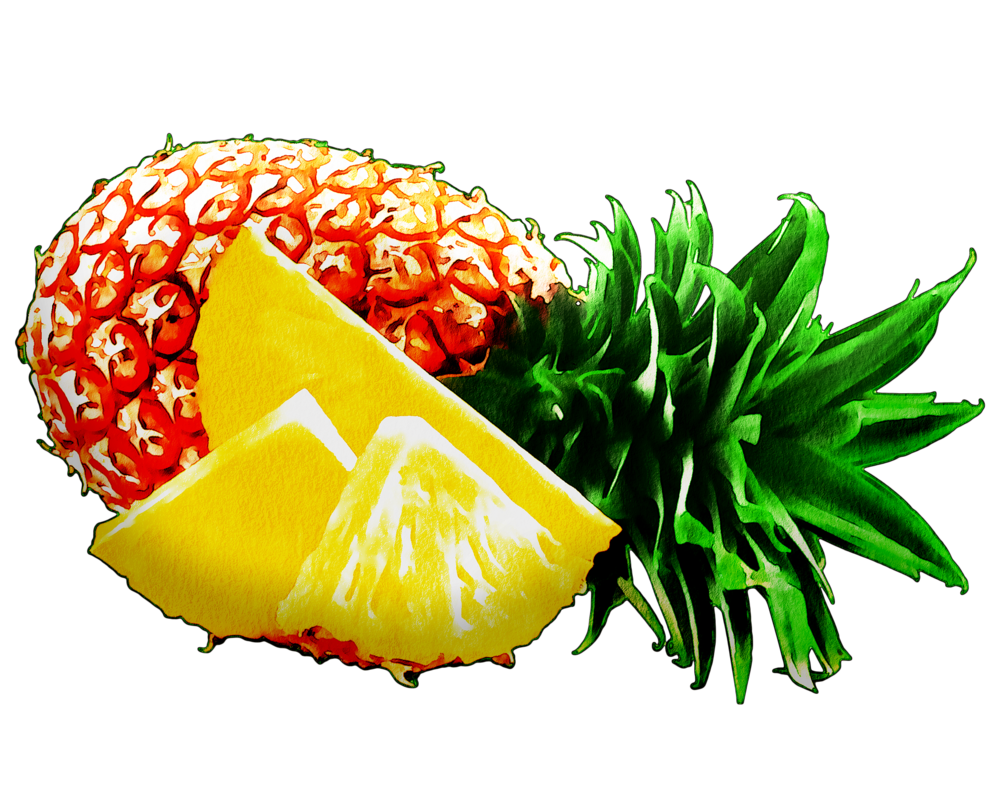 watercolor-fruit-5250450_1920.png